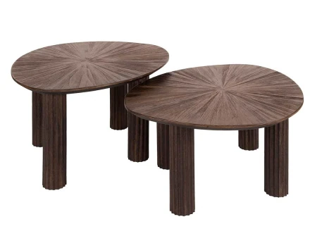 Lot de 2 tables basses...