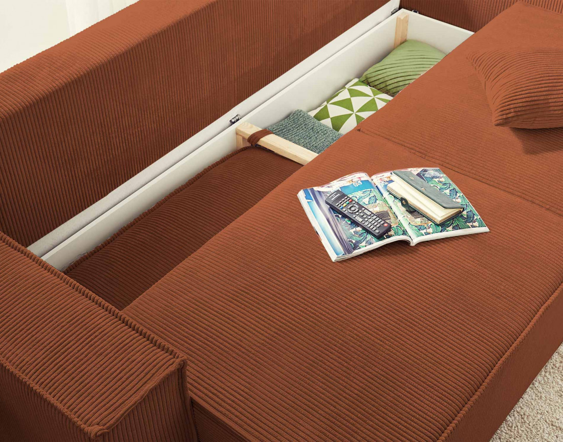 Canapé droit 3 places convertible Pet Friendly Dellia - Best Mobilier