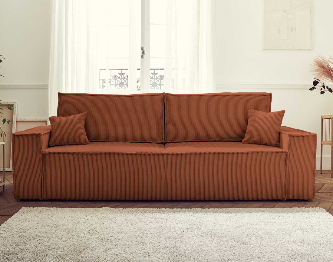 Canapé droit 3 places convertible Pet Friendly Dellia - Best Mobilier